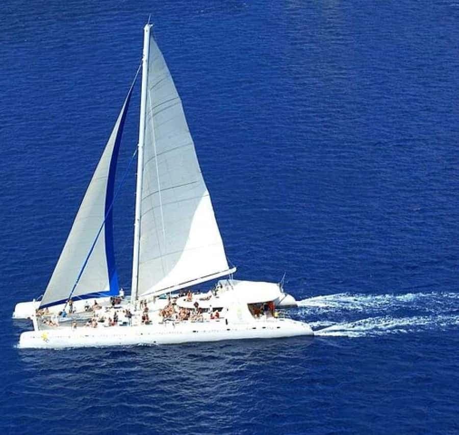 Saona Island: Catamaran/Speedboat Tour to a Dream Beach
