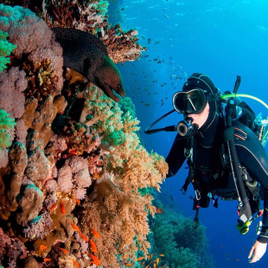 Bayahibe: Catalina Island Scuba Diving Tour with Lunch - Dominican Republic