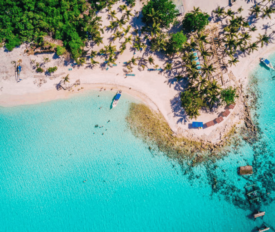 Excursion to Saona Island:Tropical Paradise whit Lunch - Dominican Republic