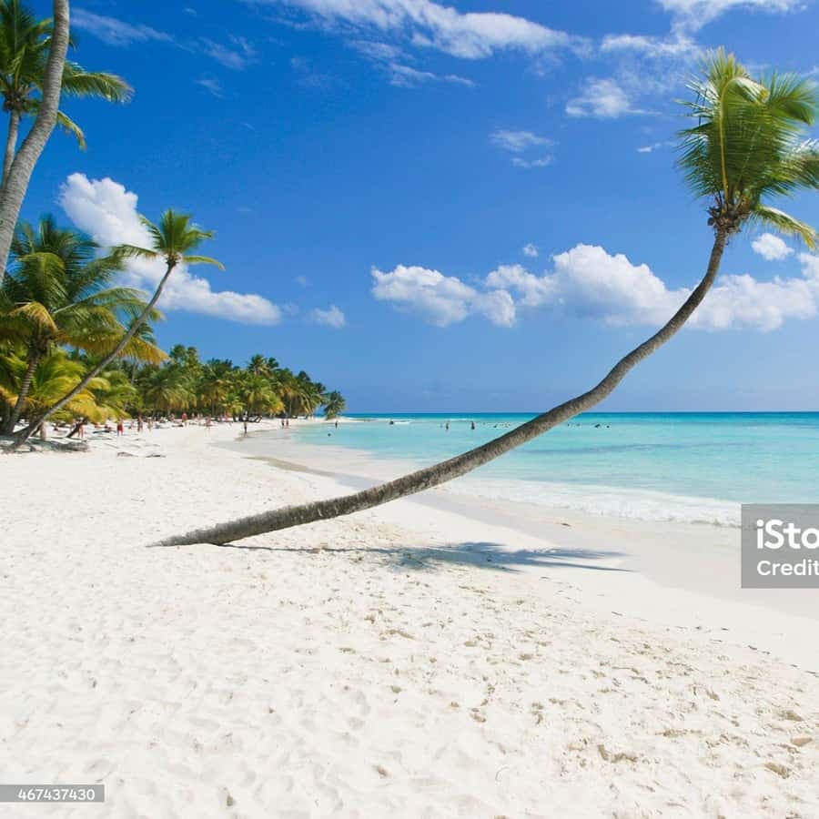 Punta Cana: Saona Island Cruise with Lunch & Open Bar - Dominican Republic