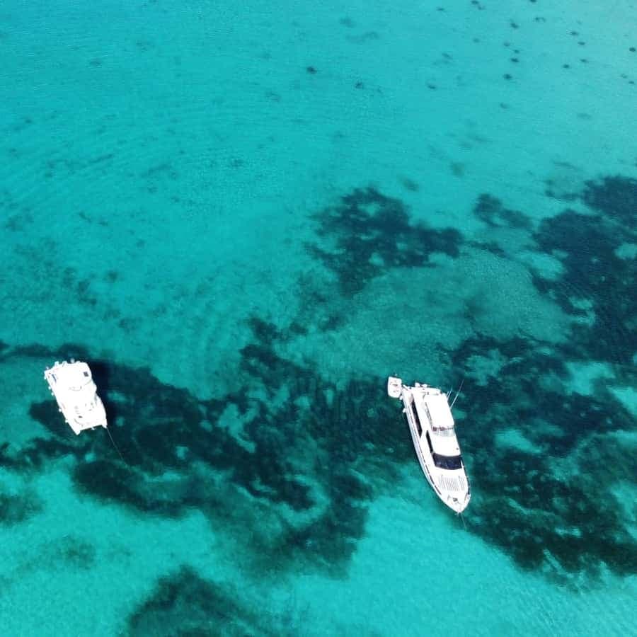 Punta Cana: Catalina Island Snorkeling and lunch Day Trip
