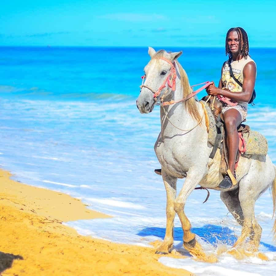 Punta Cana: Macao Beach & Forest Horseback Riding Tour