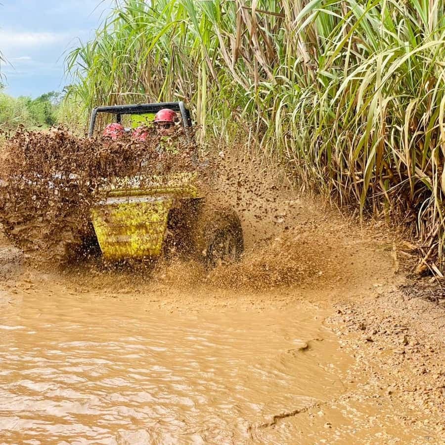 Bayahibe: Jungle Off-Road Buggy Adventure