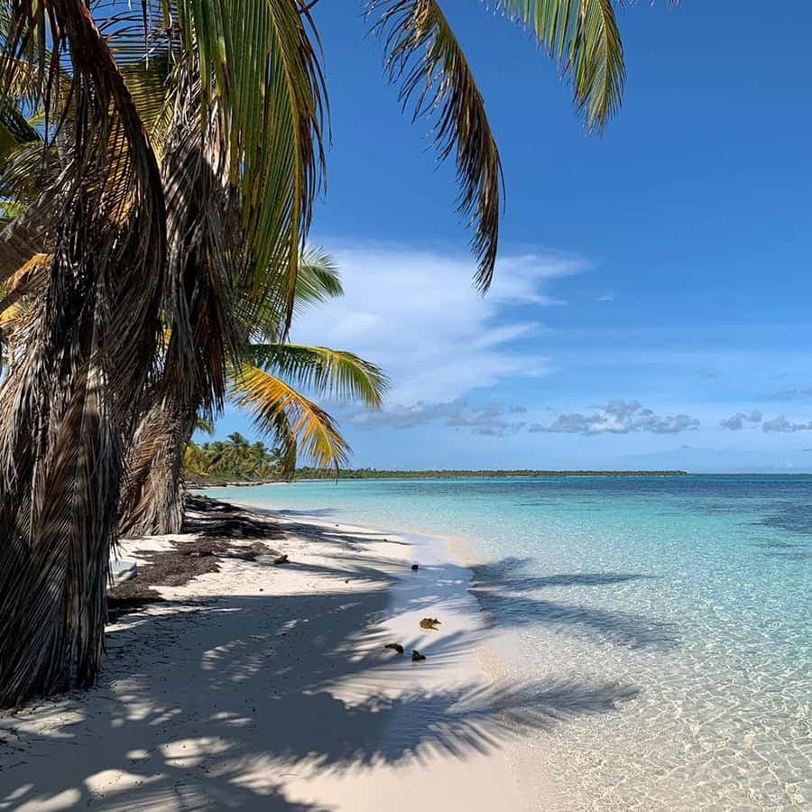 Punta Cana: Saona Island Premium 3 beaches