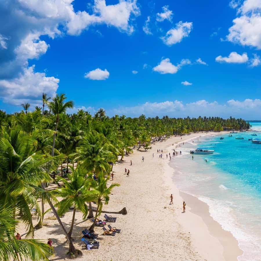 Punta Cana: Isla Saona Speedboat Tour with Snorkeling