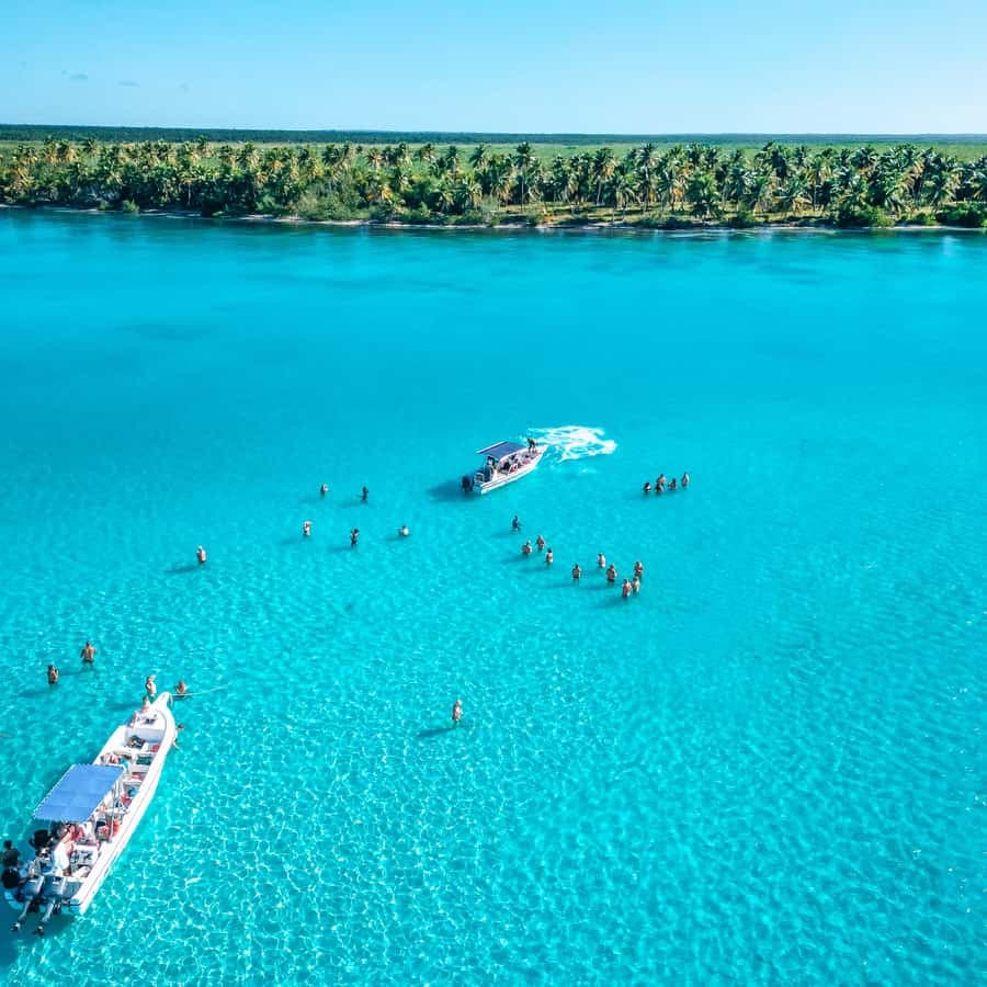 Isla Saona Wildlife Safari: Your All-Inclusive Escape