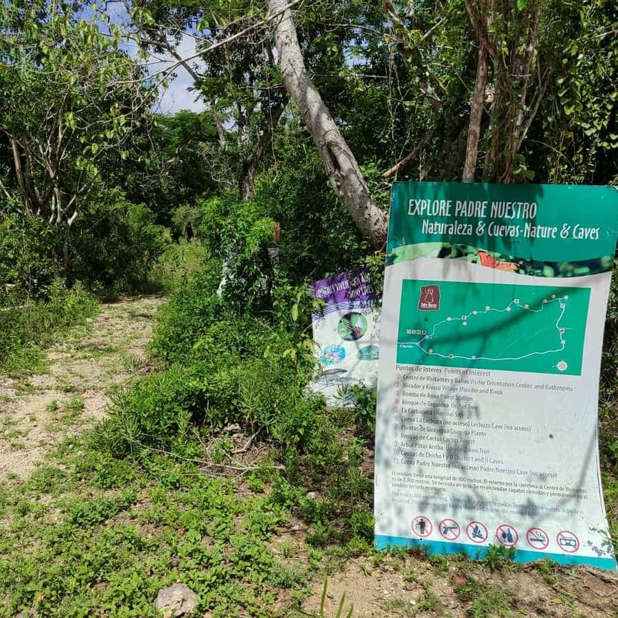 Bayahibe: National Park Jungle Walk & Snorkeling in Cenotes