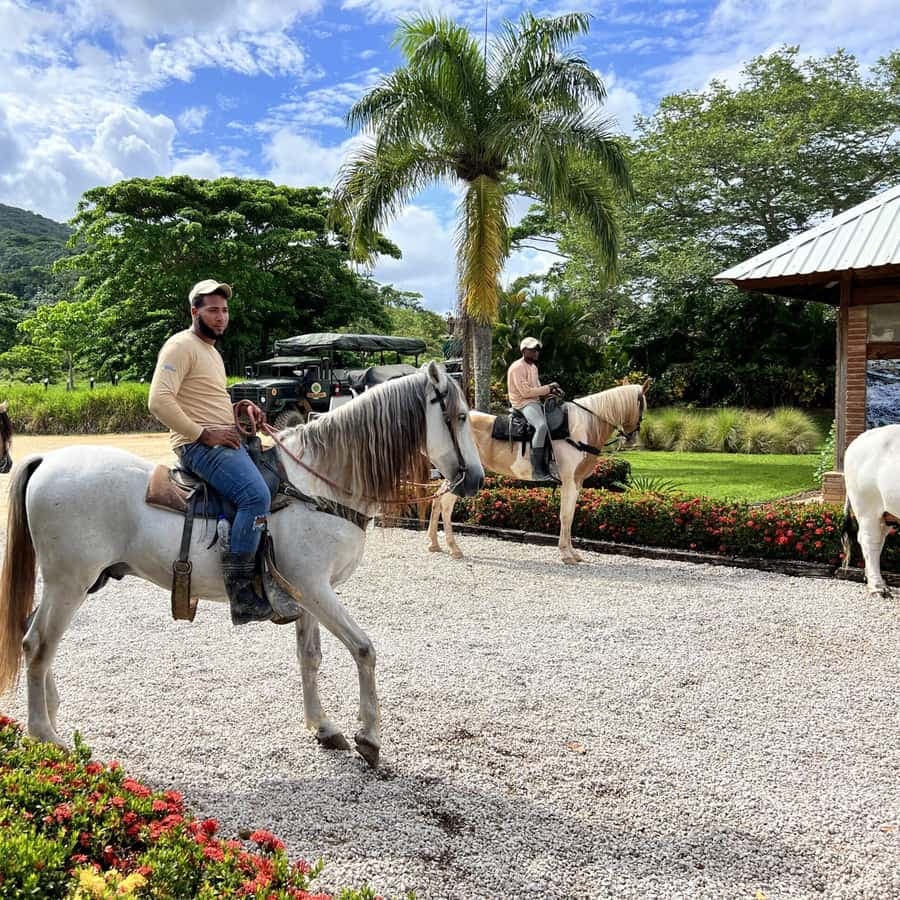 Buggy and Zipline Adventure at La Hacienda - Dominican Republic