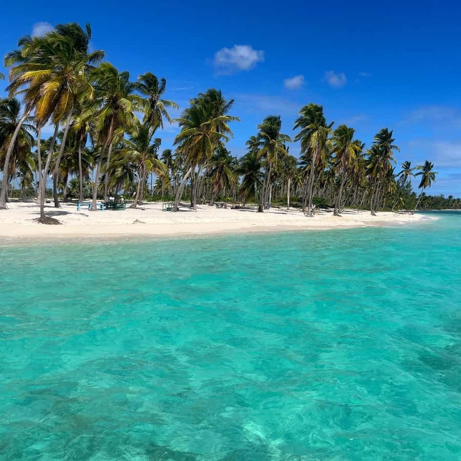 La Romana: Saona Island Boat Tour with Lunch