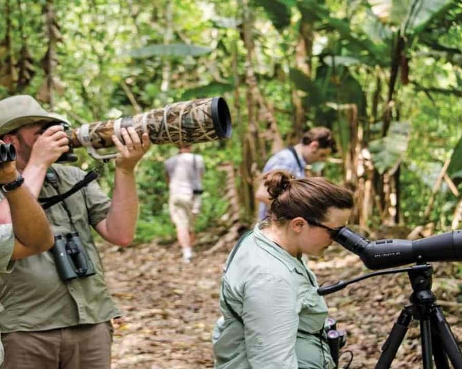 Bayahibe: Pozorování ptactva s průvodcem - Dominican Republic