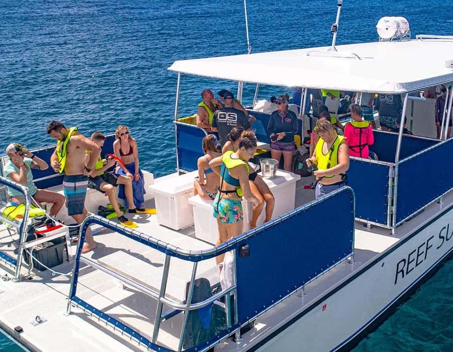 Punta Cana: catamaran day trip to Catalina Island with lunch - Dominican Republic