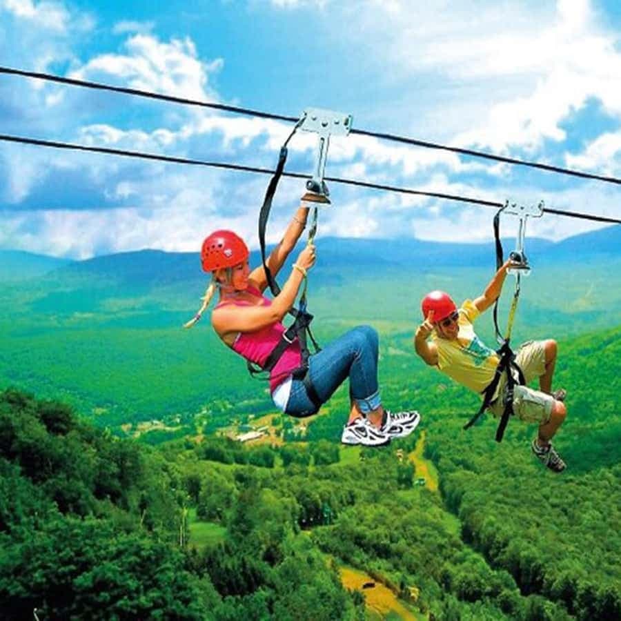 Punta Cana: Rainforest Zipline Adventure