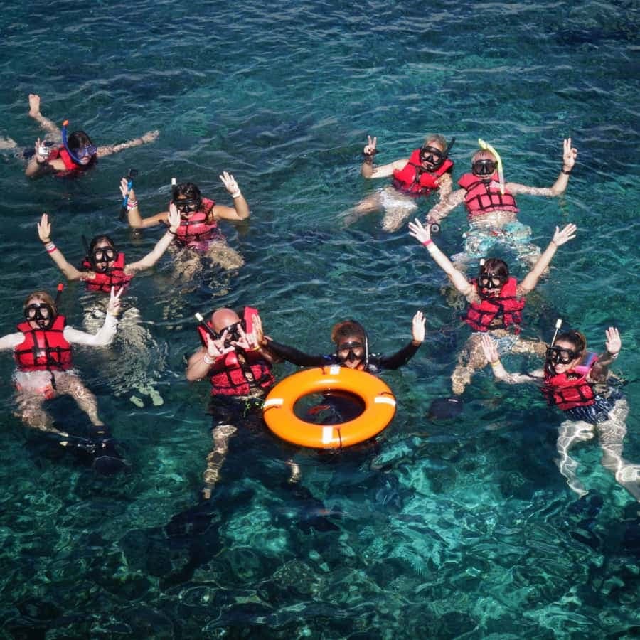 Full-Day Catalina Island With Scuba Diving