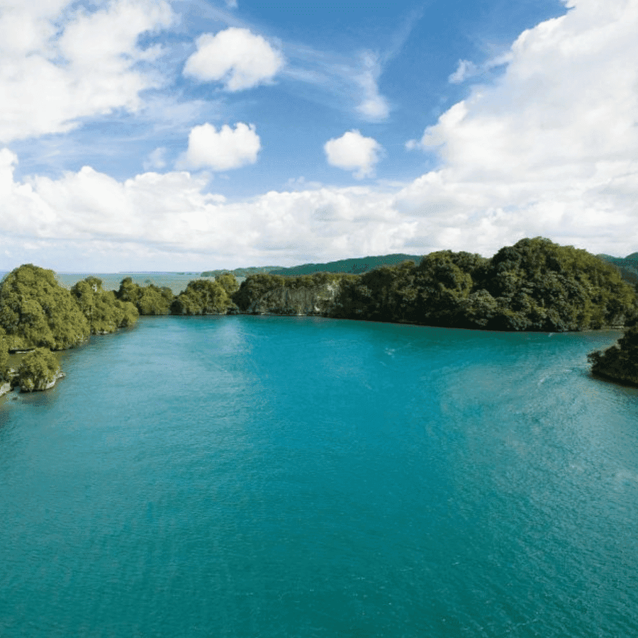 Punta Cana: Los Haitises National Park Full-Day Tour