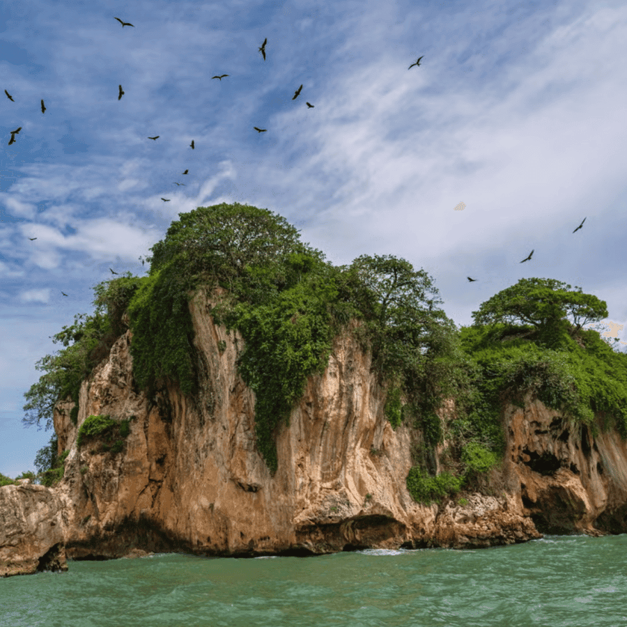 Punta Cana: Whale Watching & Los Haitises Park Sailing Tour