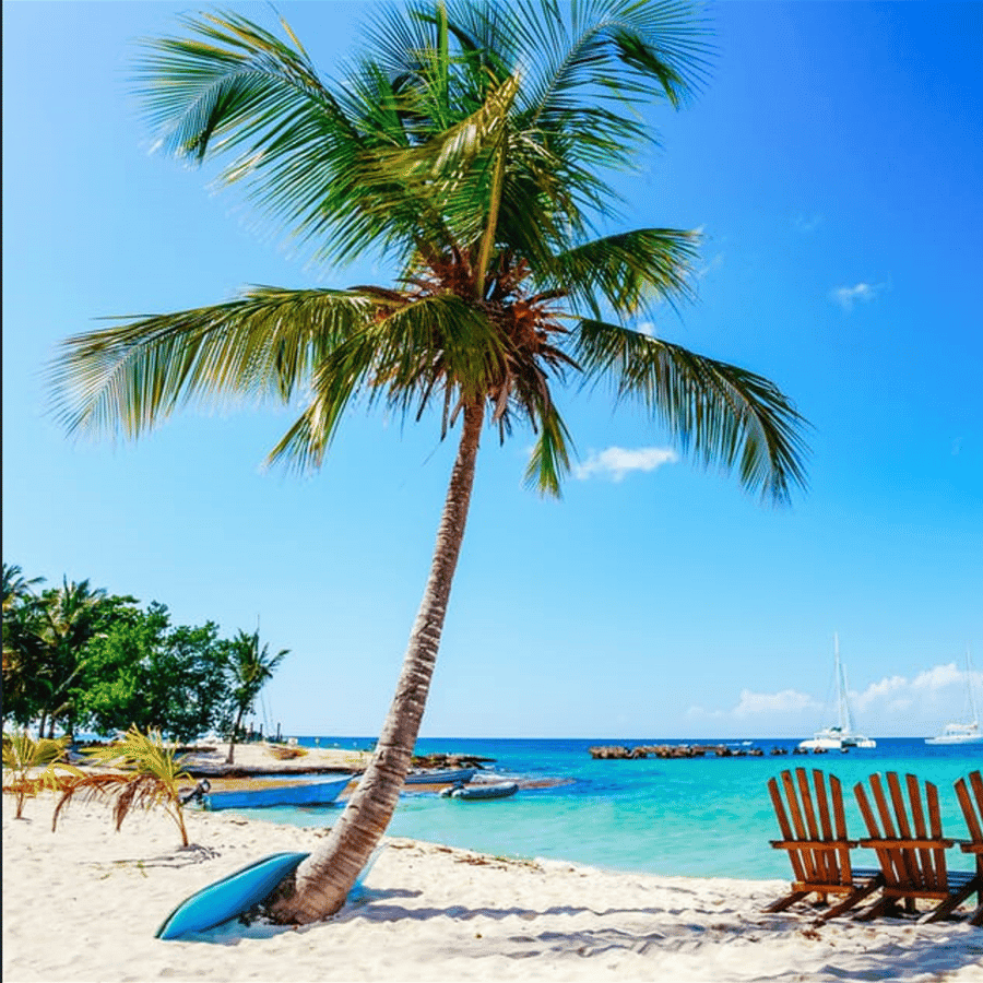Punta Cana: 2-Day Saona Island and Los Haitises Adventure
