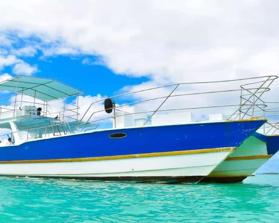 Santo Domingo: Isla Saona Day Trip with Lunch & Catamaran