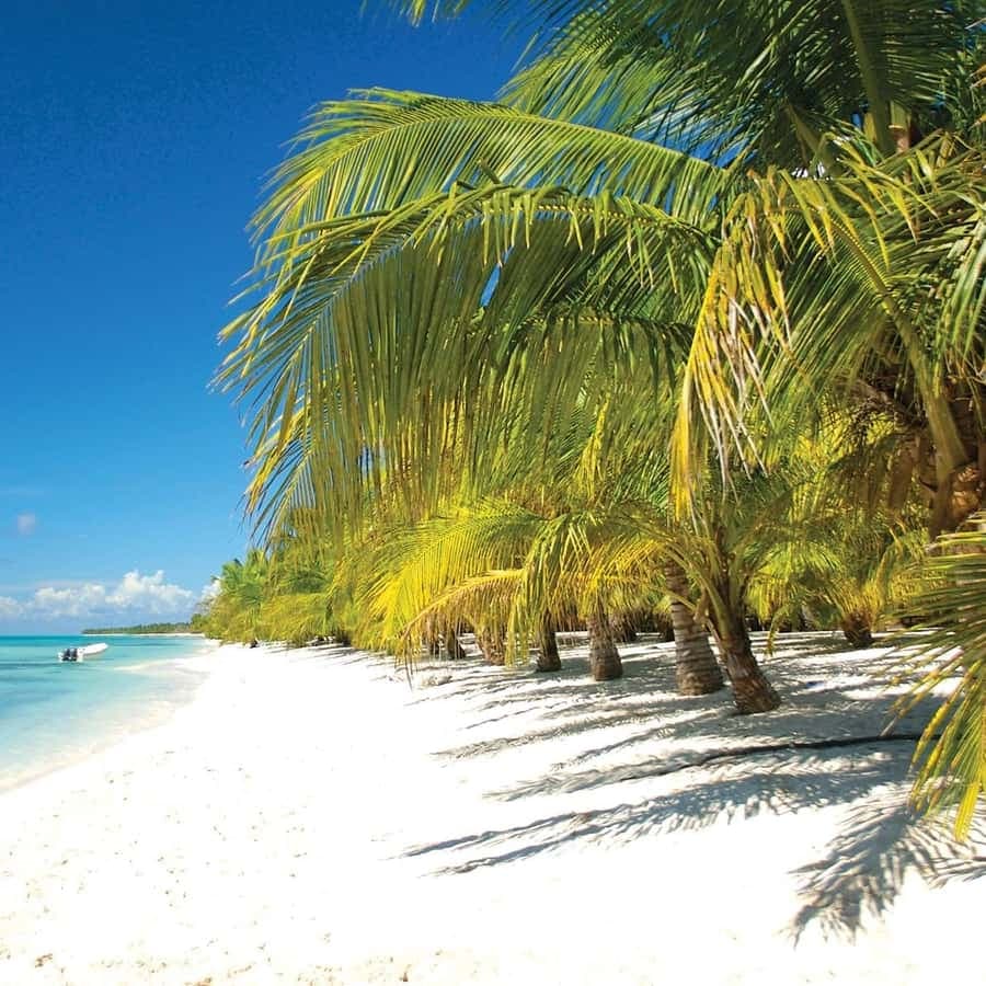 Day trip to Saona Island from Punta Cana with lunch and more