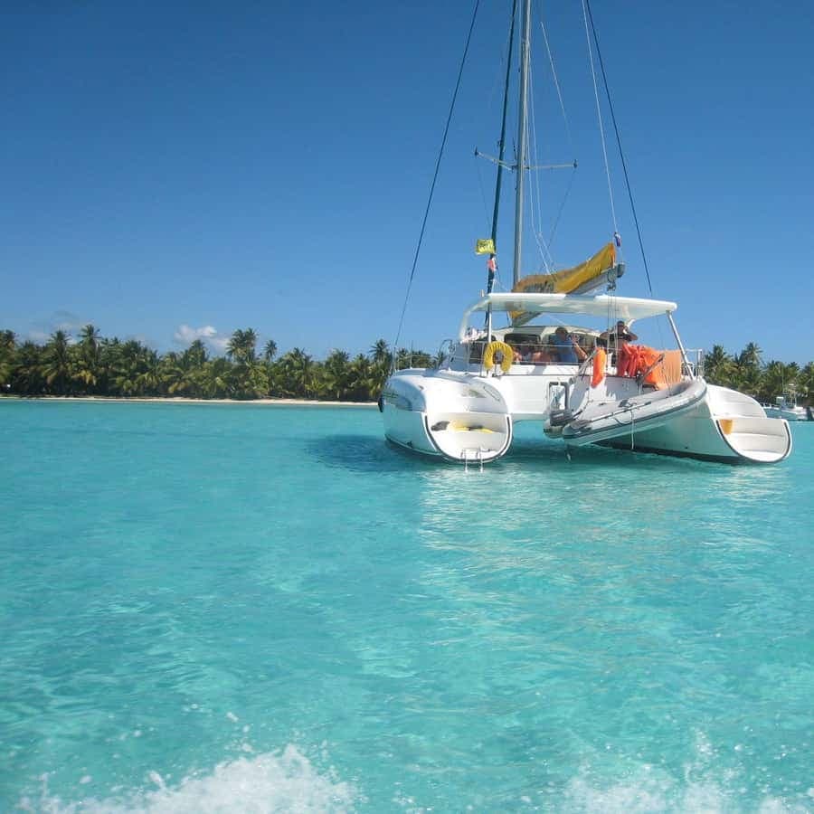Punta Cana: Saona Island Day Tour and Catamaran Party
