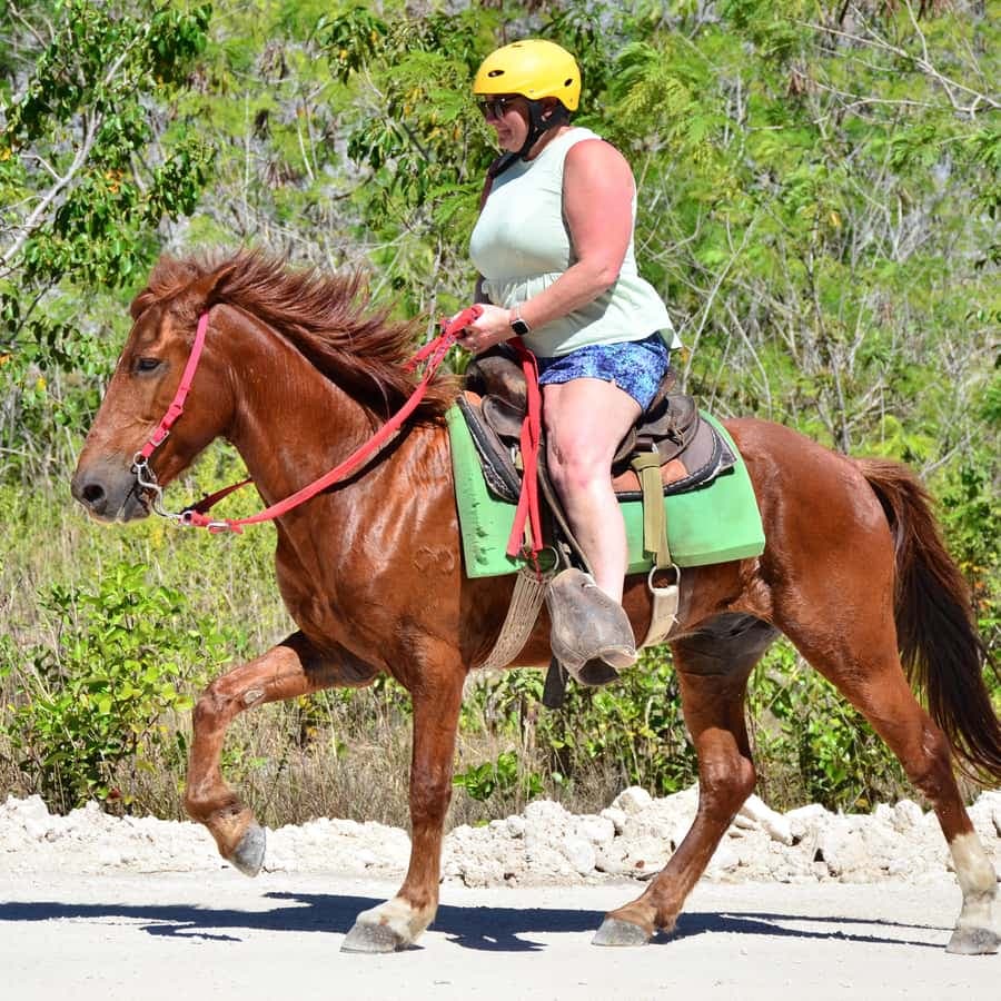 Punta Cana: Bávaro Adventure Park Horse Riding & Waterfalls