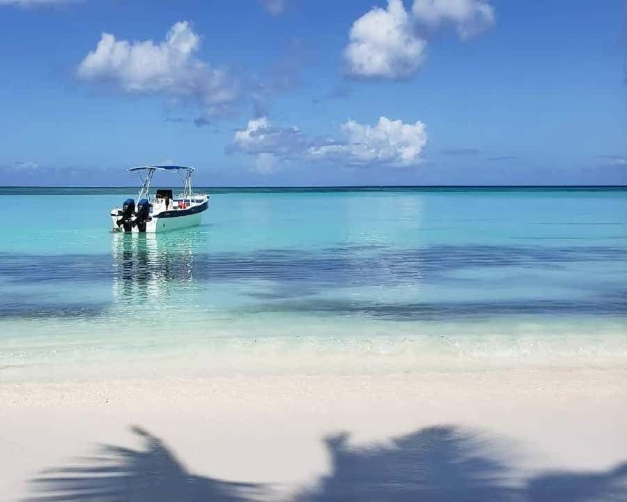 Santo Domingo: Isla Saona Day Trip with Lunch & Catamaran