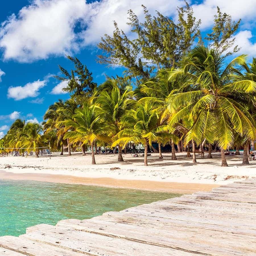 Saona Island Premium- Exclusive Beach And Mano Juan FullDay