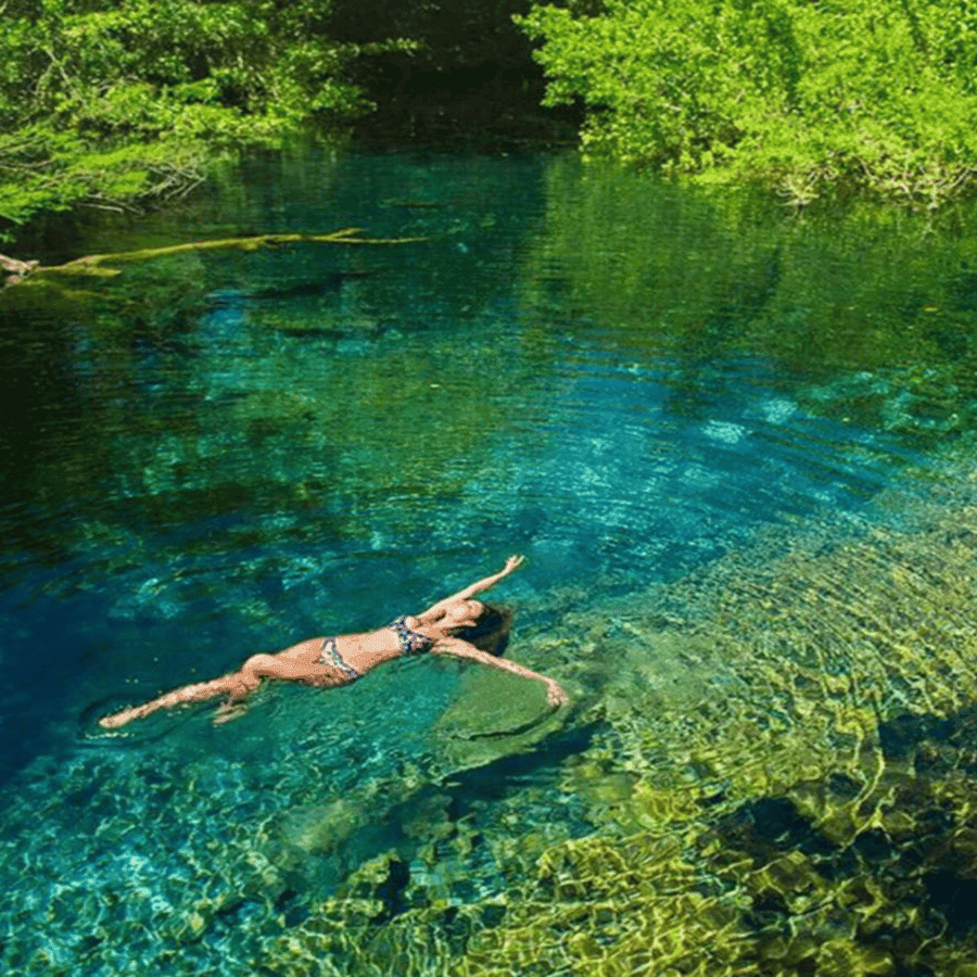 Caribbean Sea With Lagoon Half Day Tour