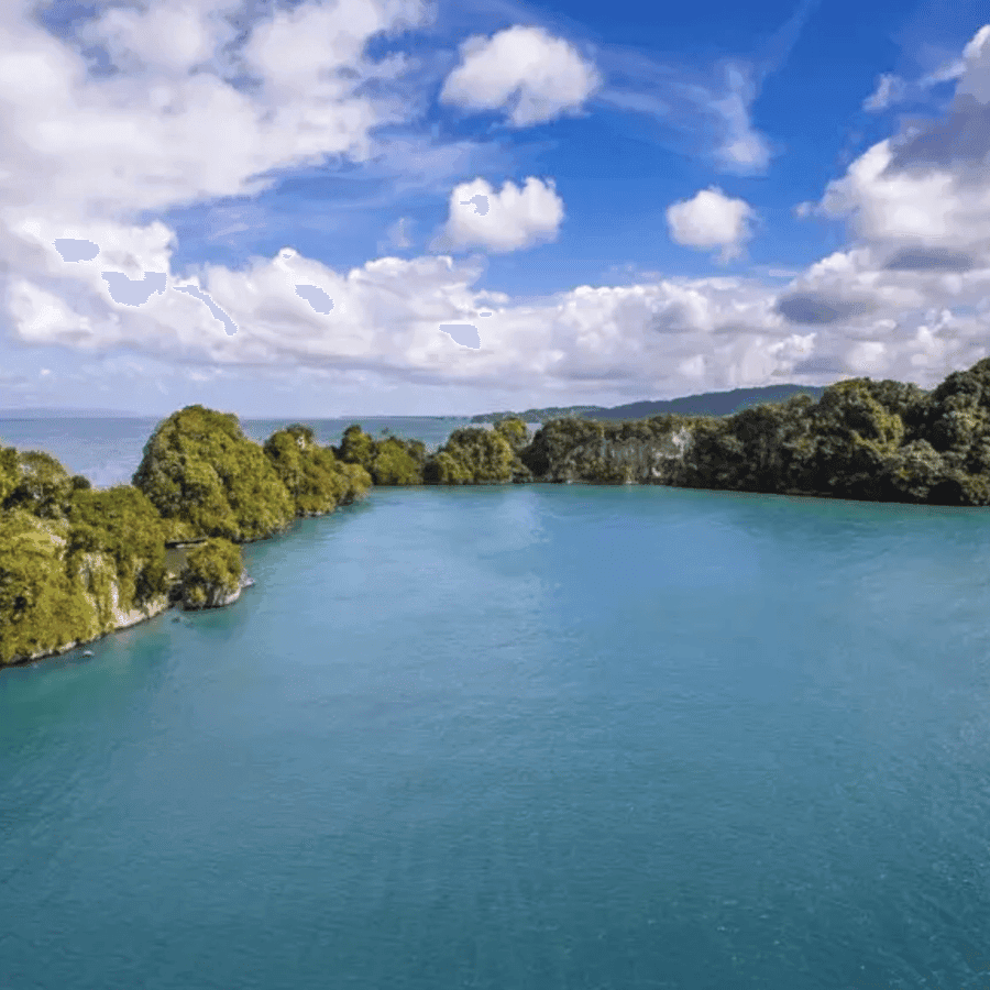 From Punta Cana: Los Haitises Tour: Mangroves, Caves + Round Mountain