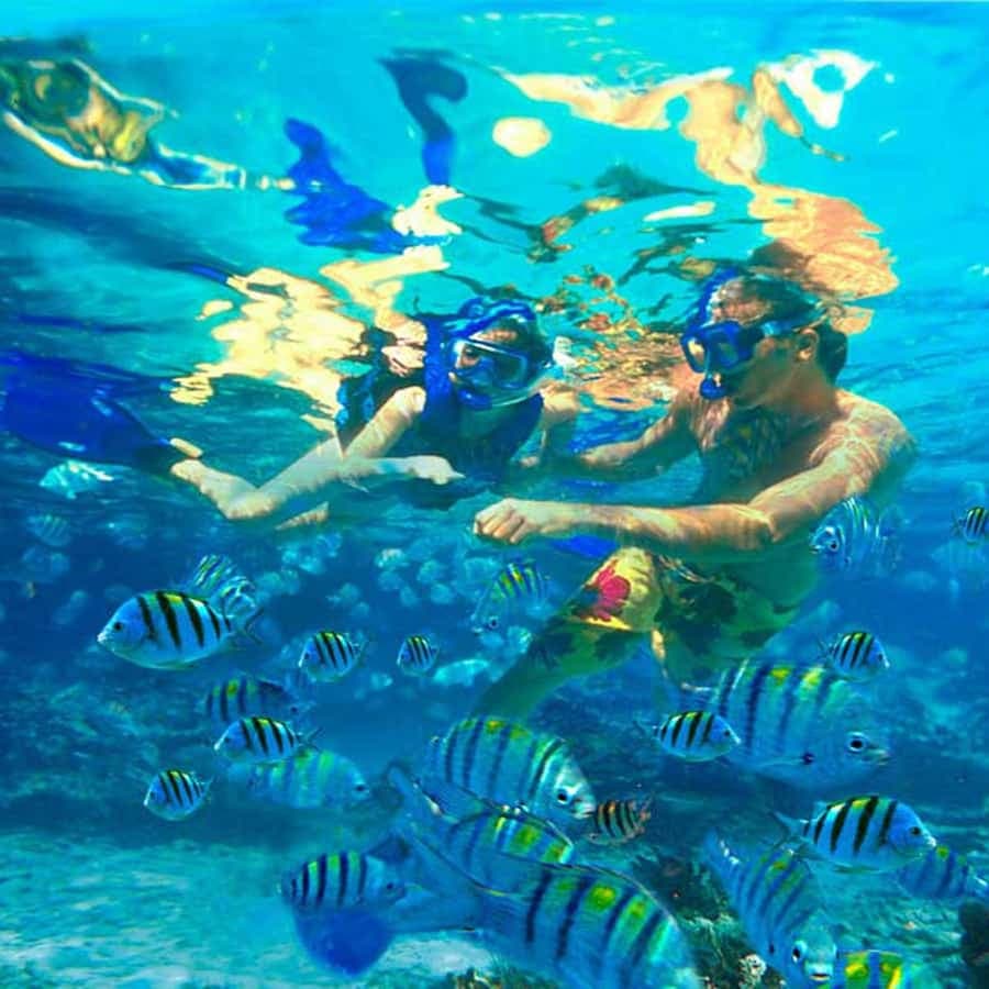 Bayahibe: Catalina Island Snorkeling and Diving Tour