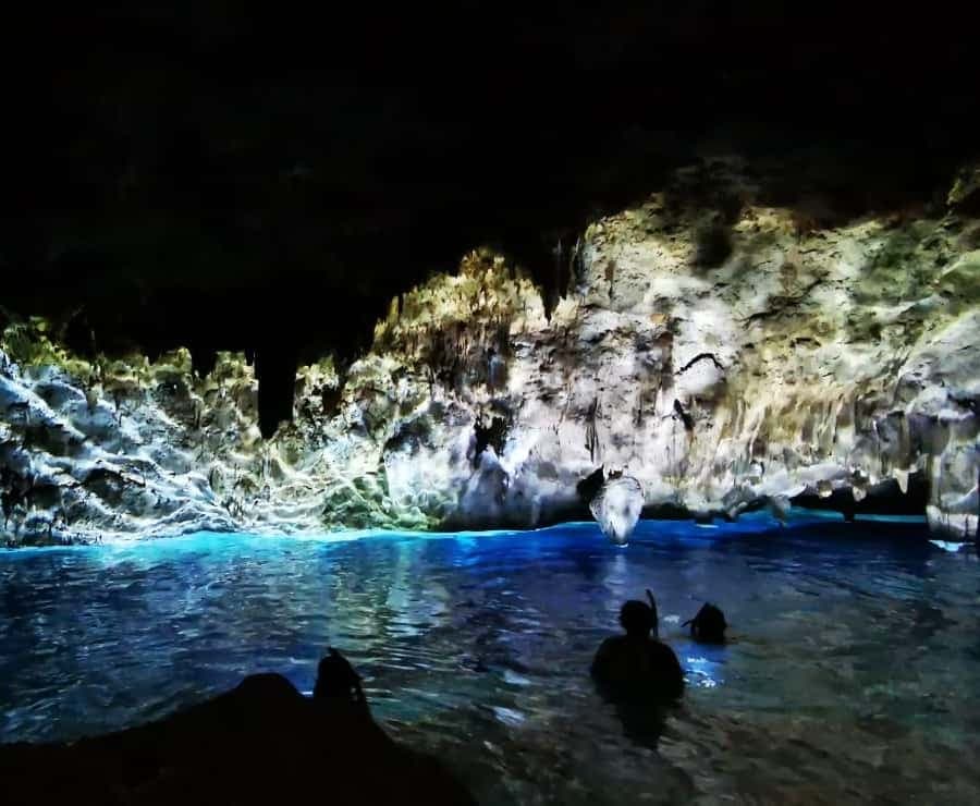 Bayahibe: National Park Jungle Walk & Snorkeling in Cenotes