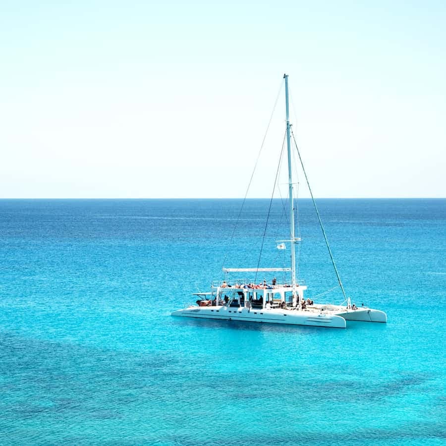 From Punta Cana: Saona Island Tour by Catamaran with Open Bar and Buffet