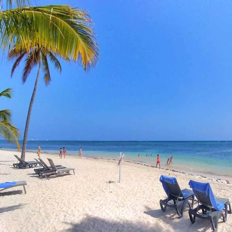 Bayahibe: Catalina Island Snorkeling and Diving Tour