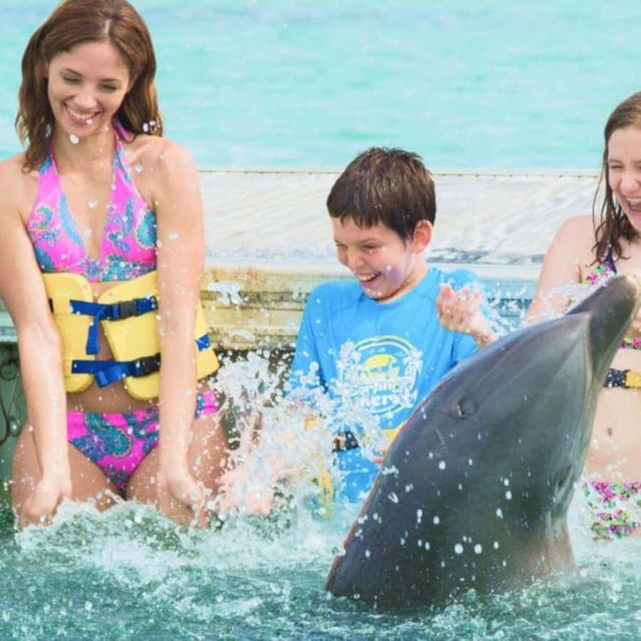 Punta Cana: Dolphin Experience