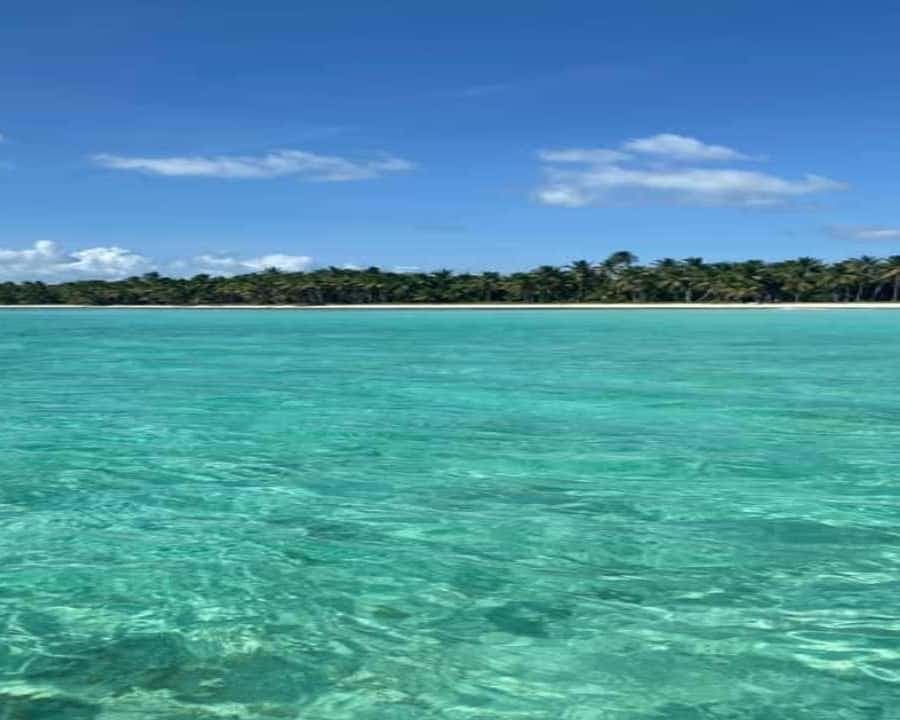 Saona Island Day Trip with Lunch and Open Bar at Punta Cana
