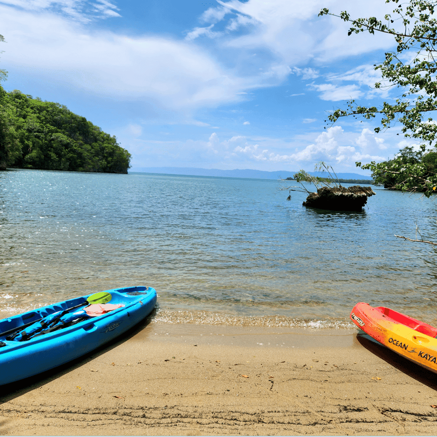 Private 2-Hour Kayaking Tour in Los Haitises National Park - Dominican Republic