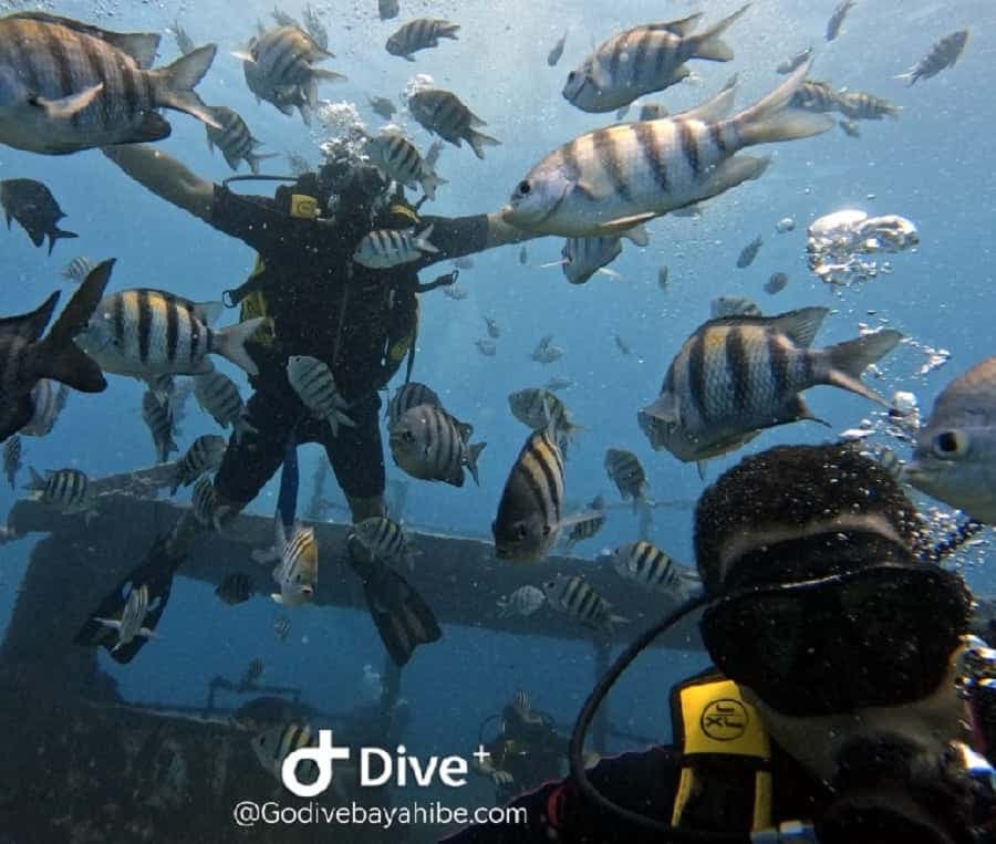 Bayahibe: Scuba Diving Initiation by Go Dive Bayahibe