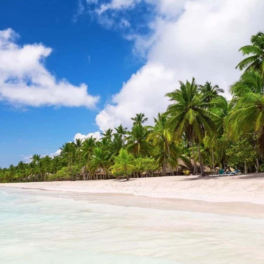 All-Inclusive Excursion to Saona Island from Punta Cana: Lunch and Open Bar - Dominican Republic