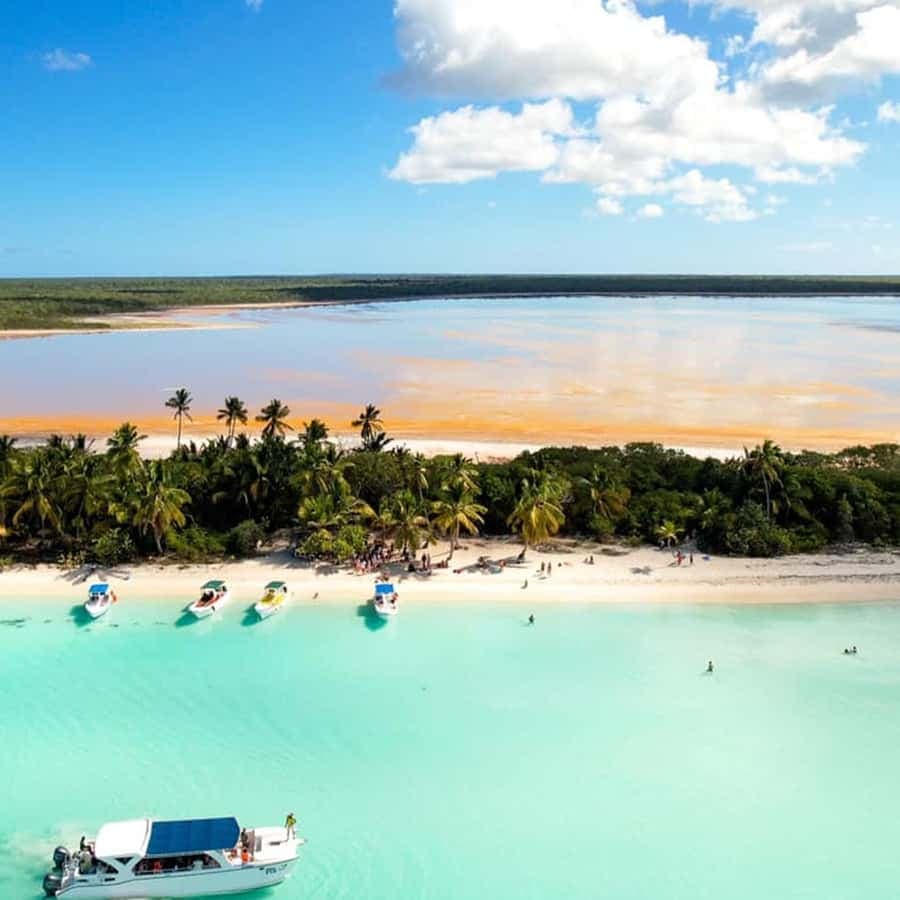 Punta Cana: Isla Saona Day Trip with Catamaran Cruise