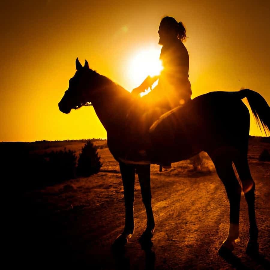 Punta Cana: Sunset Horseback Ride in Macao Beach and Forest