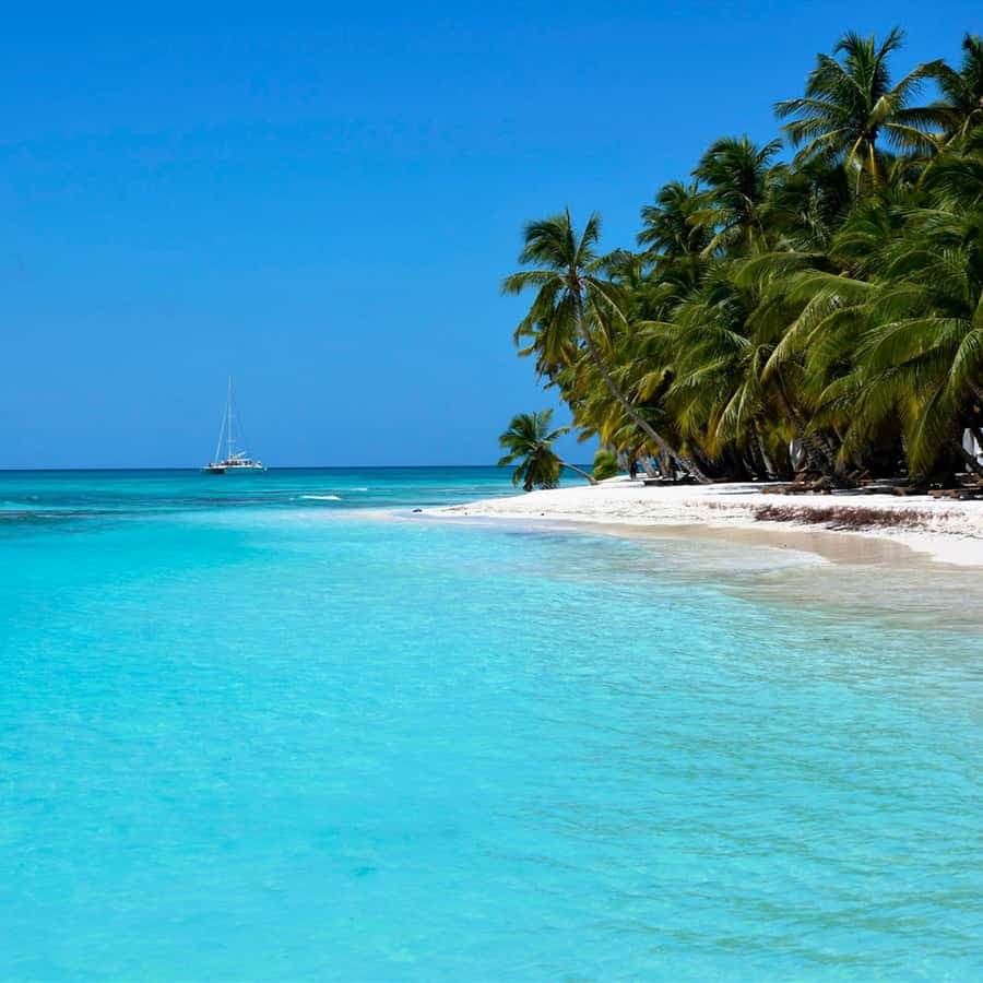 Saona Island Private: +10 People Catamarán - Dominican Republic