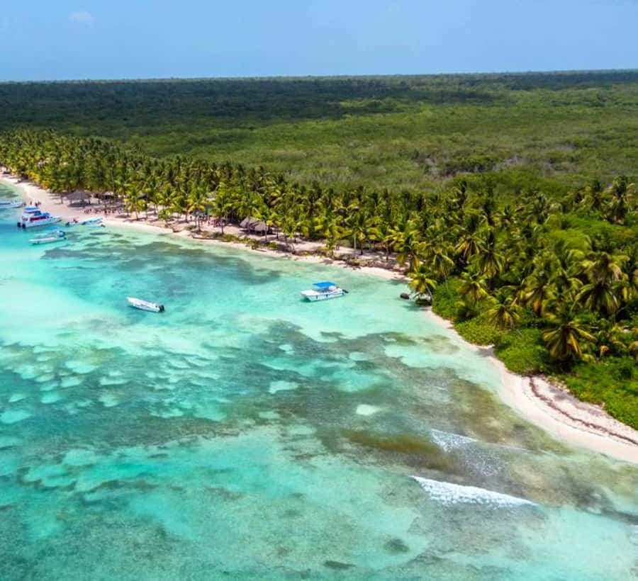 Punta Cana: Isla Saona Speedboat Tour with Snorkeling