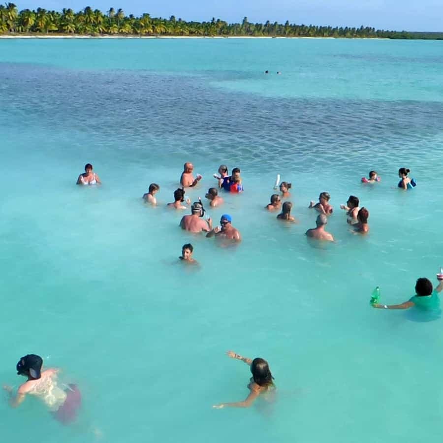 Santo Domingo: Saona Island Tour by Catamaran or Speedboat