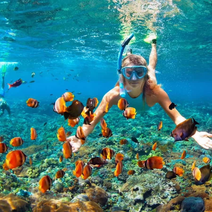 Catamaran party Boat con open bar y snorkeling en punta cana