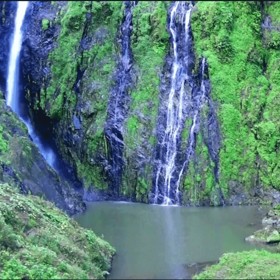 Punta Cana: Salto La Jalda & Montana redonda