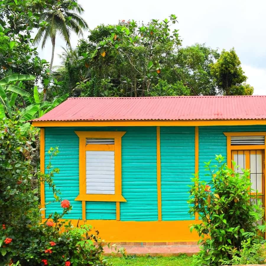 Higuey discovery, coffee and cocoa tasting from punta cana