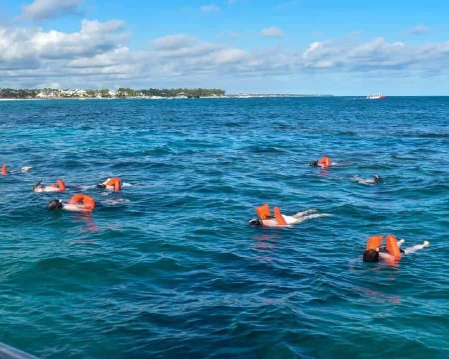 Santo Domingo: Isla Saona Day Trip with Lunch & Catamaran