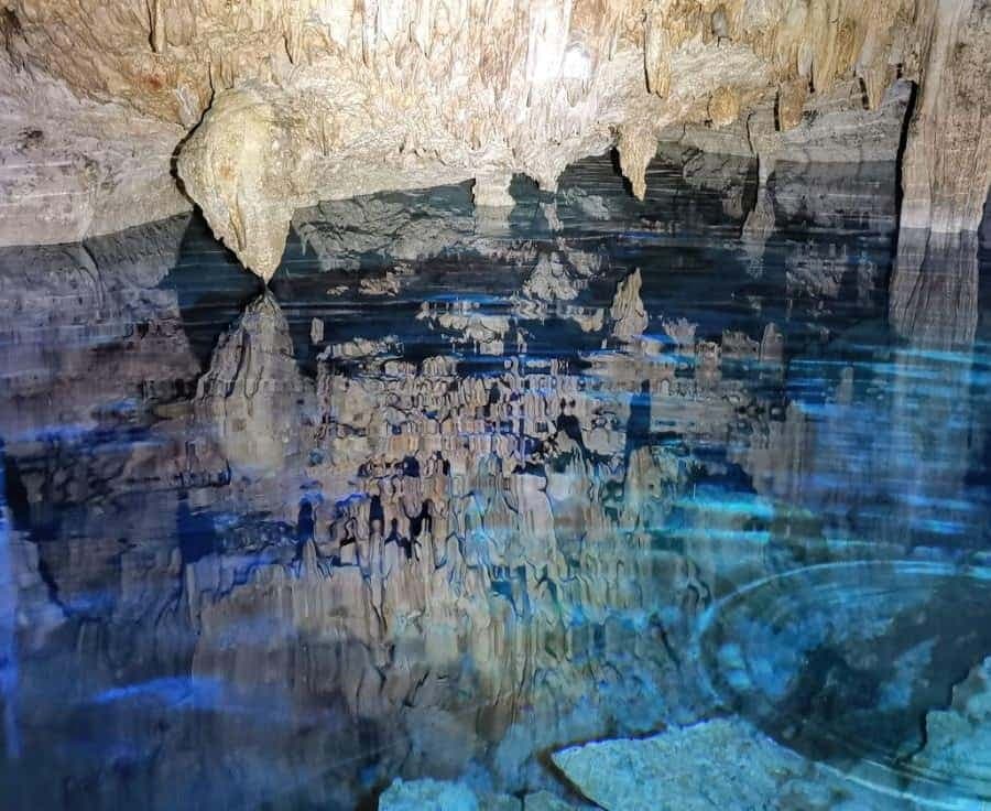 Bayahibe: National Park Jungle Walk & Snorkeling in Cenotes
