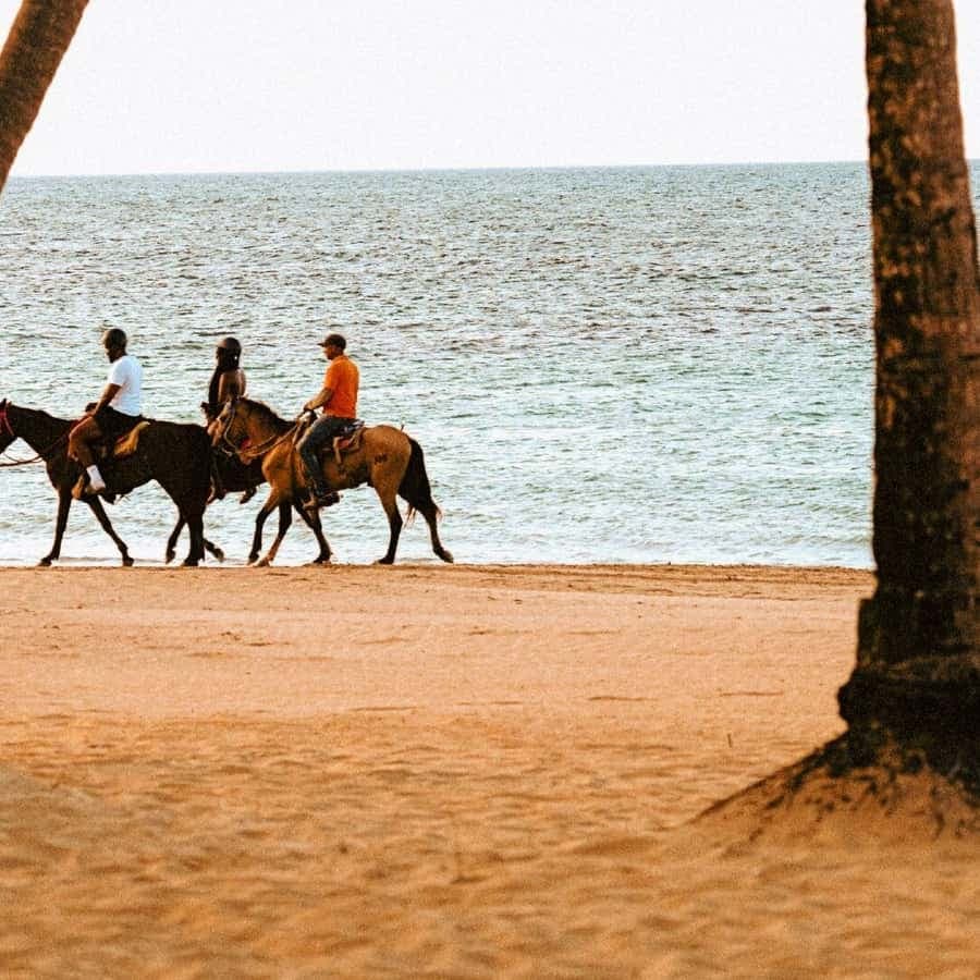 Coastal Trails & Culture: Horseback Sunset Experience - Dominican Republic