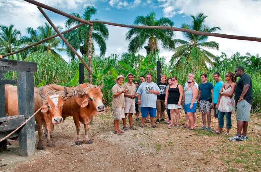 Punta Cana: Bavaro Runners Safari Tour