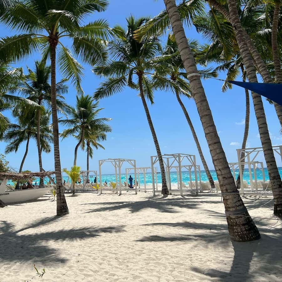 Saona Island & Chavon River Tour with Lunch & Drinks